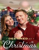 Destined at Christmas Free Download