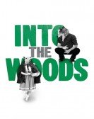 Digital Theatre: Into the Woods poster