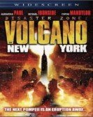 Disaster Zone: Volcano in New York poster