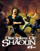 Disciples of Shaolin Free Download