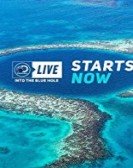 Discovery Live: Into The Blue Hole poster
