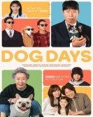 Dog Days Free Download