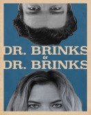 Dr. Brinks & Dr. Brinks Free Download
