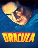 Dracula Free Download