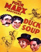 Duck Soup Free Download