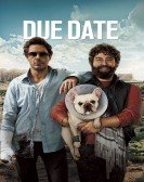 Due Date Free Download