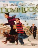 Dumb Luck poster