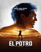 El Potro: Lo mejor del amor (2018) poster