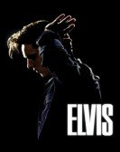 Elvis, los primeros aÃ±os poster