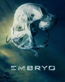 Embryo Free Download