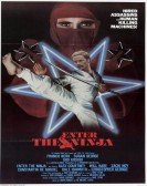 Enter The Ninja poster