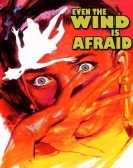 Even the Wind Is Afraid poster