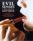 Evil Senses poster