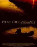Eye of the Hurricane Free Download