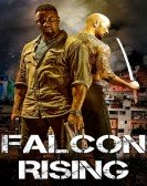 Falcon Rising (2014) poster