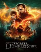 poster_fantastic-beasts-the-secrets-of-dumbledore_tt4123432.jpg Free Download