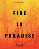Fire in Paradise Free Download