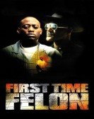 First Time Felon Free Download
