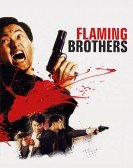 Flaming Brothers Free Download
