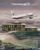 Flight 370: The Missing Links poster