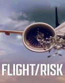 Flight/Risk Free Download
