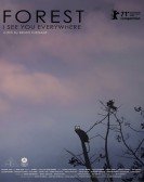 Forest: I See You Everywhere Free Download