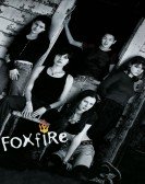 Foxfire Free Download