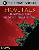 Fractals: Hunting the Hidden Dimension Free Download