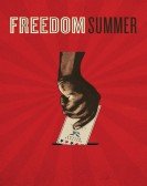 Freedom Summer Free Download