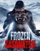 Frozen Sasquatch poster