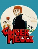 Ginger Meggs Free Download