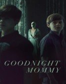 Goodnight Mommy Free Download
