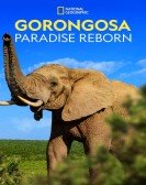 Gorongosa: Paradise Reborn Free Download