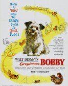 Greyfriars Bobby: The True Story of a Dog poster