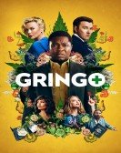 Gringo (2018) Free Download