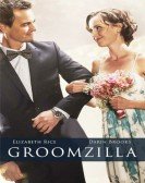 Groomzilla Free Download