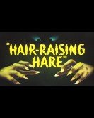 Hair-Raising poster
