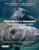 Hamilton's Journey - Manatees in a New Light Free Download