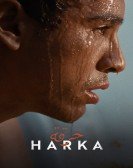 Harka Free Download