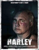Harley poster