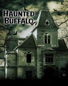 Haunted Buffalo Free Download