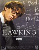 Hawking poster