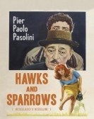 Hawks and Sparrows Free Download