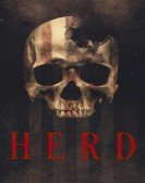 Herd Free Download