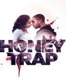 Honeytrap Free Download
