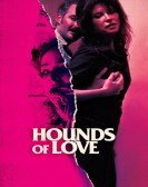 Hounds of Love (2017) poster