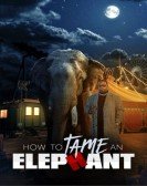 How To Tame An Elephant Free Download
