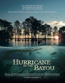 poster_hurricane on the bayou_tt0838265.jpg Free Download