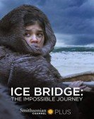 poster_ice-bridge-the-impossible-journey_tt8309494.jpg Free Download