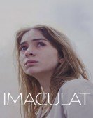 Immaculate Free Download